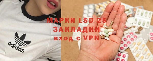 амф Алзамай