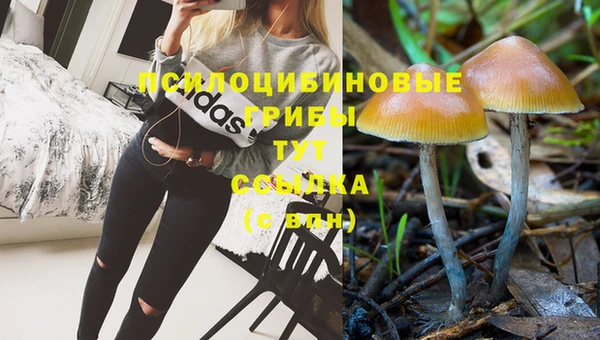 амф Алзамай