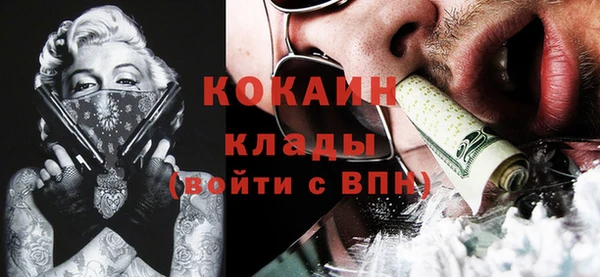 не бодяженный Алексин