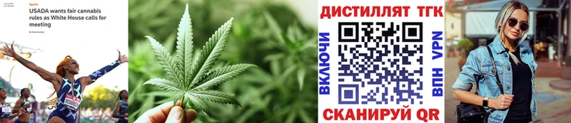 ТГК концентрат Устюжна
